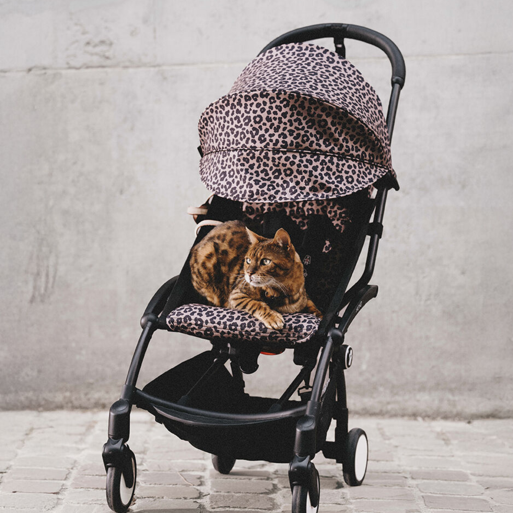 Coche de bebé ligero Stokke YOYO³ 6+ Leopardo | Compacto y plegable